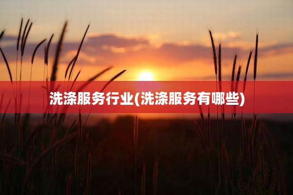 洗涤服务行业(洗涤服务有哪些)