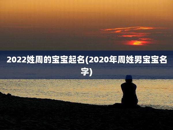 2022姓周的宝宝起名(2020年周姓男宝宝名字)