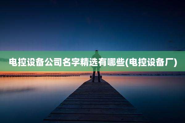 电控设备公司名字精选有哪些(电控设备厂)