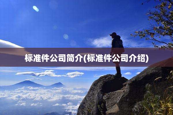 标准件公司简介(标准件公司介绍)