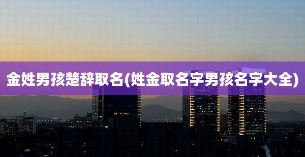 金姓男孩楚辞取名(姓金取名字男孩名字大全)