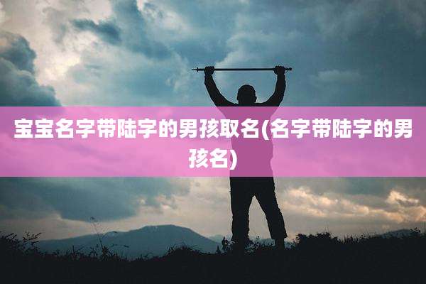 宝宝名字带陆字的男孩取名(名字带陆字的男孩名)