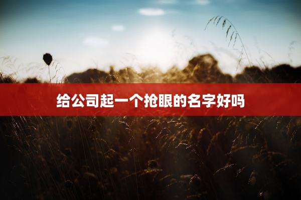 给公司起一个抢眼的名字好吗