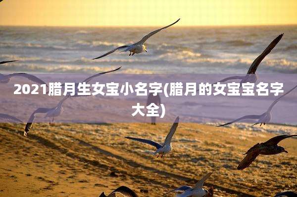 2021腊月生女宝小名字(腊月的女宝宝名字大全)