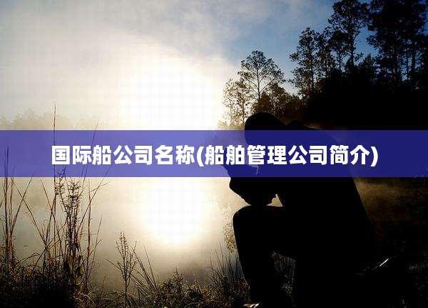 国际船公司名称(船舶管理公司简介)
