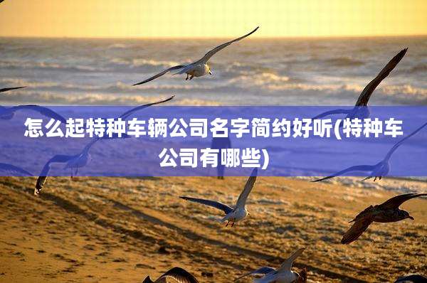 怎么起特种车辆公司名字简约好听(特种车公司有哪些)