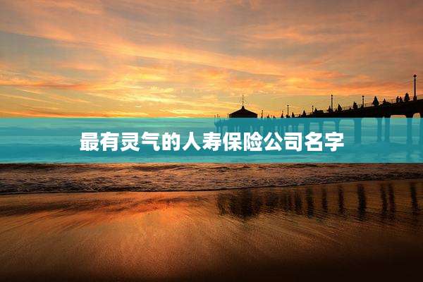 最有灵气的人寿保险公司名字