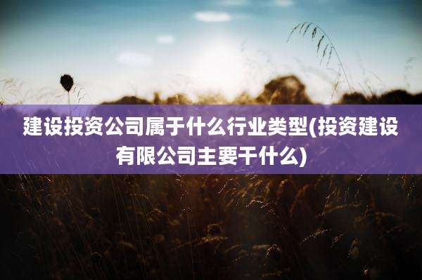 建设投资公司属于什么行业类型(投资建设有限公司主要干什么)