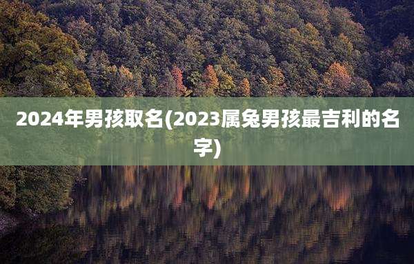 2024年男孩取名(2023属兔男孩最吉利的名字)