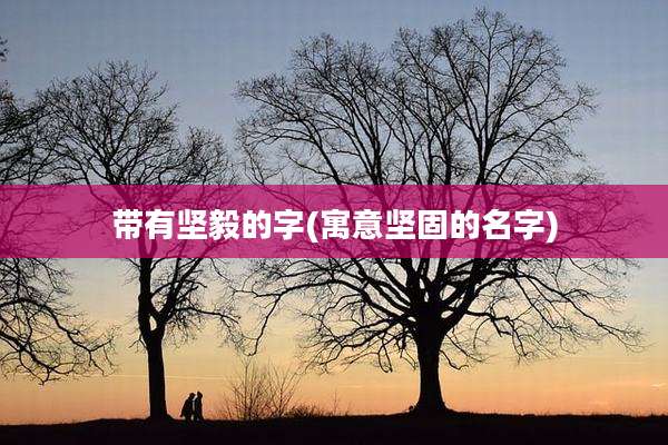 带有坚毅的字(寓意坚固的名字)