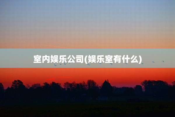 室内娱乐公司(娱乐室有什么)