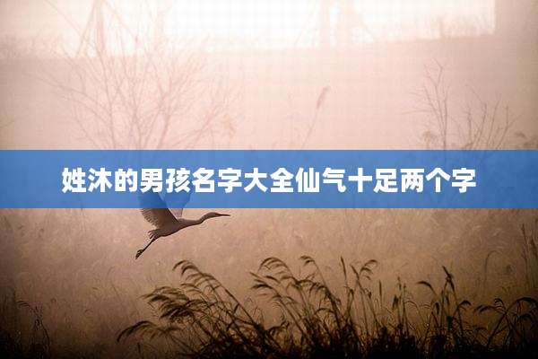 姓沐的男孩名字大全仙气十足两个字