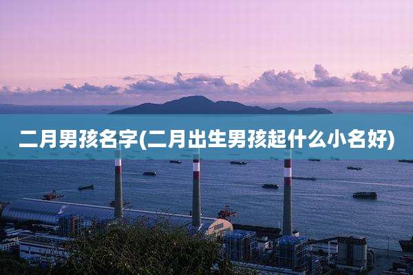 二月男孩名字(二月出生男孩起什么小名好)