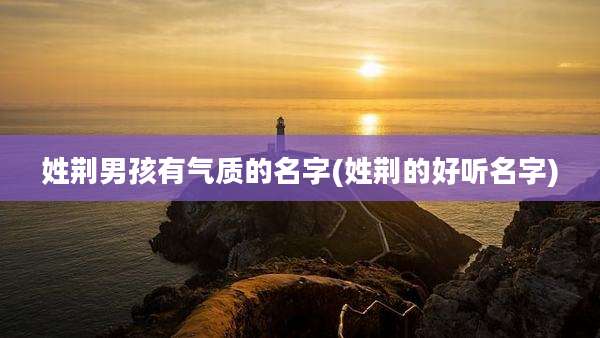 姓荆男孩有气质的名字(姓荆的好听名字)