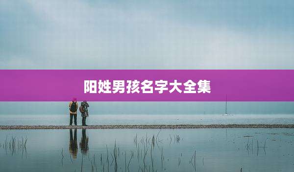 阳姓男孩名字大全集
