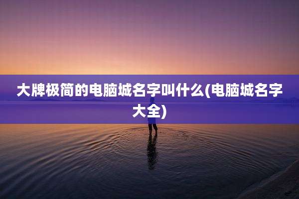 大牌极简的电脑城名字叫什么(电脑城名字大全)