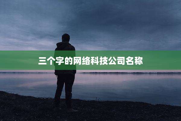 三个字的网络科技公司名称