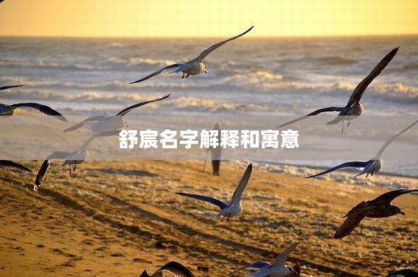 舒宸名字解释和寓意