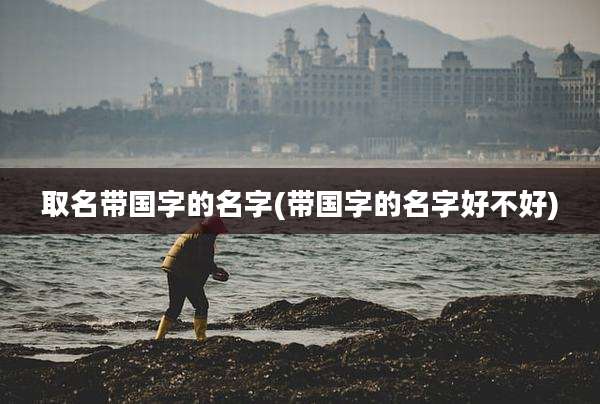 取名带国字的名字(带国字的名字好不好)