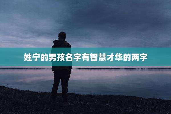 姓宁的男孩名字有智慧才华的两字
