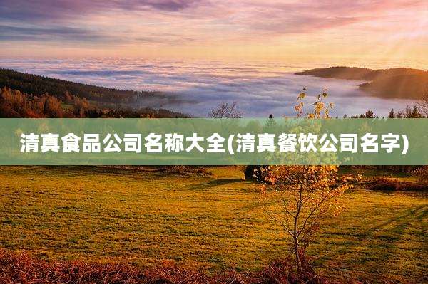 清真食品公司名称大全(清真餐饮公司名字)
