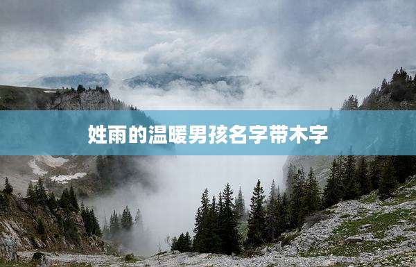姓雨的温暖男孩名字带木字