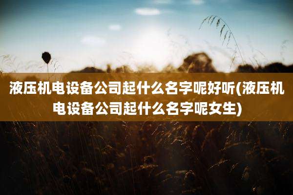 液压机电设备公司起什么名字呢好听(液压机电设备公司起什么名字呢女生)