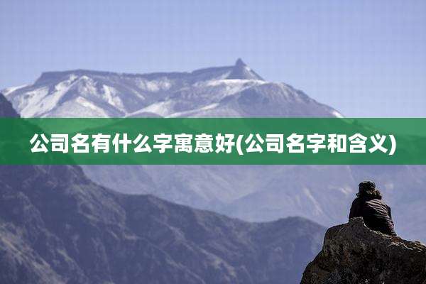 公司名有什么字寓意好(公司名字和含义)