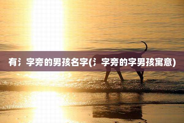 有氵字旁的男孩名字(氵字旁的字男孩寓意)