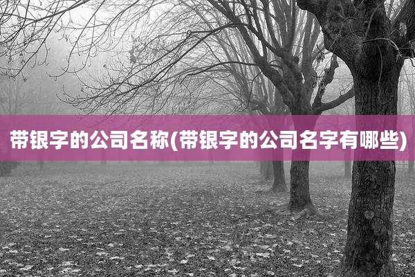 带银字的公司名称(带银字的公司名字有哪些)