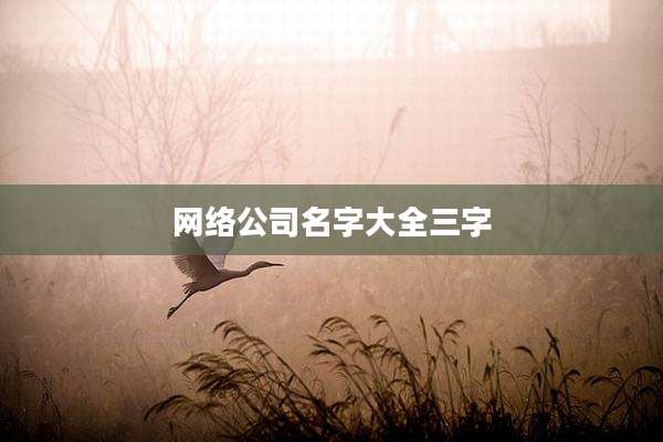 网络公司名字大全三字