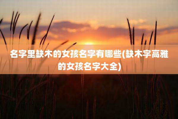 名字里缺木的女孩名字有哪些(缺木字高雅的女孩名字大全)