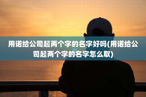 用诺给公司起两个字的名字好吗(用诺给公司起两个字的名字怎么取)