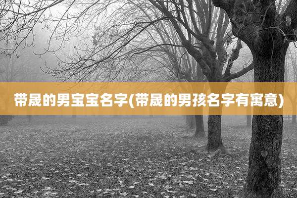 带晟的男宝宝名字(带晟的男孩名字有寓意)
