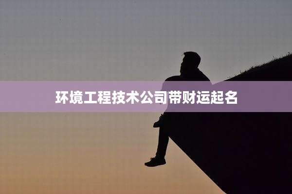 环境工程技术公司带财运起名