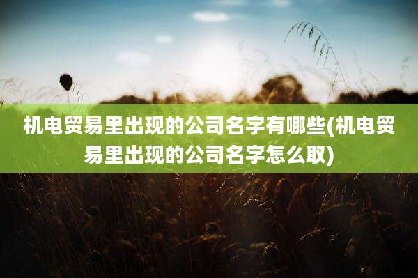 机电贸易里出现的公司名字有哪些(机电贸易里出现的公司名字怎么取)