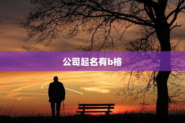公司起名有b格