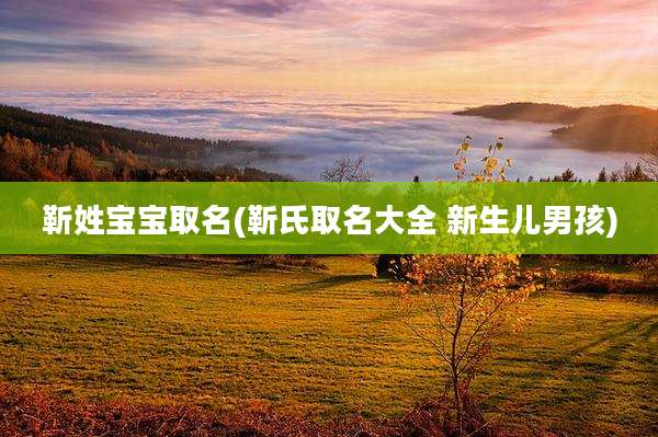 靳姓宝宝取名(靳氏取名大全 新生儿男孩)
