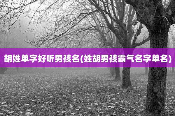 胡姓单字好听男孩名(姓胡男孩霸气名字单名)