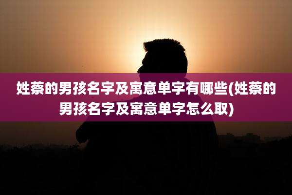姓蔡的男孩名字及寓意单字有哪些(姓蔡的男孩名字及寓意单字怎么取)
