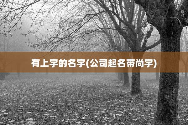 有上字的名字(公司起名带尚字)