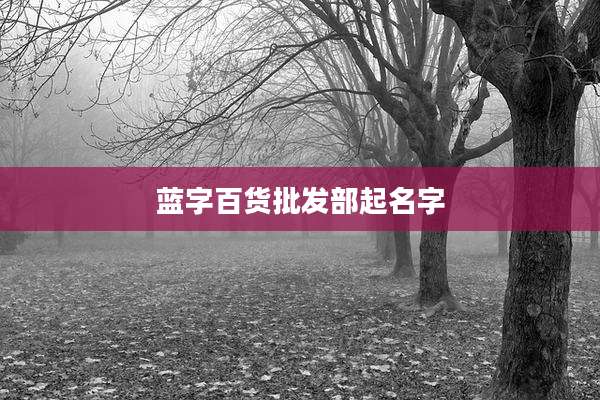 蓝字百货批发部起名字