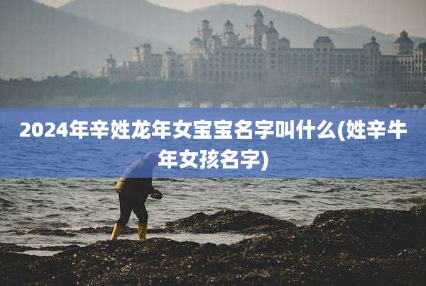 2024年辛姓龙年女宝宝名字叫什么(姓辛牛年女孩名字)