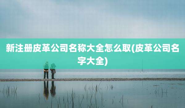 新注册皮革公司名称大全怎么取(皮革公司名字大全)