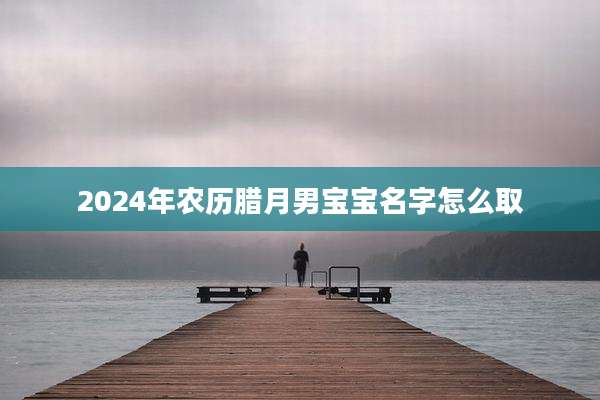 2024年农历腊月男宝宝名字怎么取