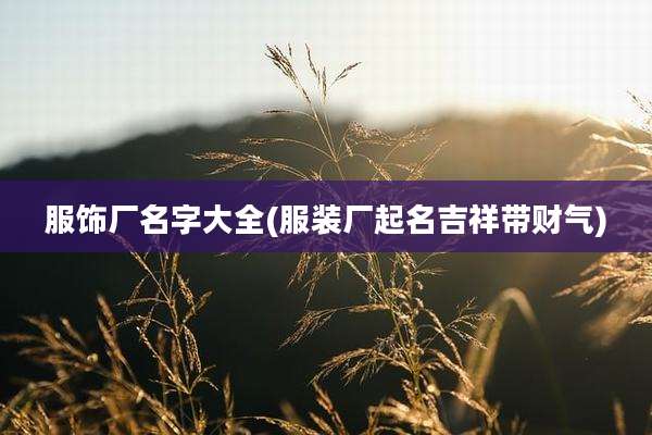 服饰厂名字大全(服装厂起名吉祥带财气)