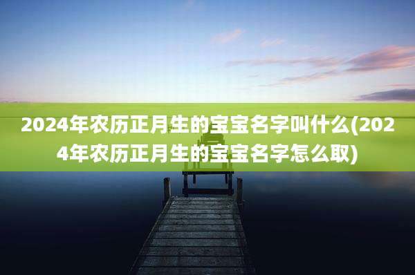 2024年农历正月生的宝宝名字叫什么(2024年农历正月生的宝宝名字怎么取)