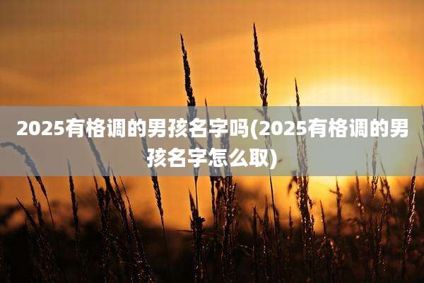 2025有格调的男孩名字吗(2025有格调的男孩名字怎么取)