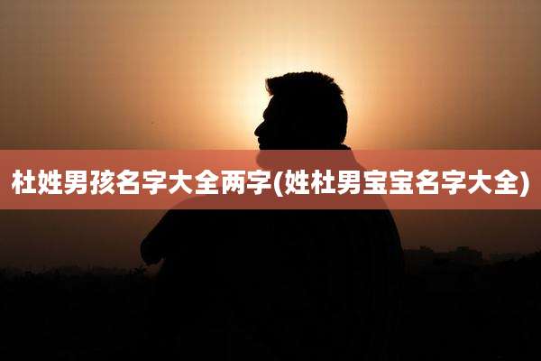 杜姓男孩名字大全两字(姓杜男宝宝名字大全)