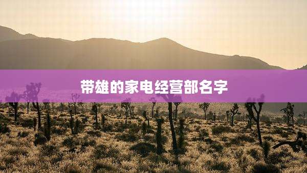 带雄的家电经营部名字